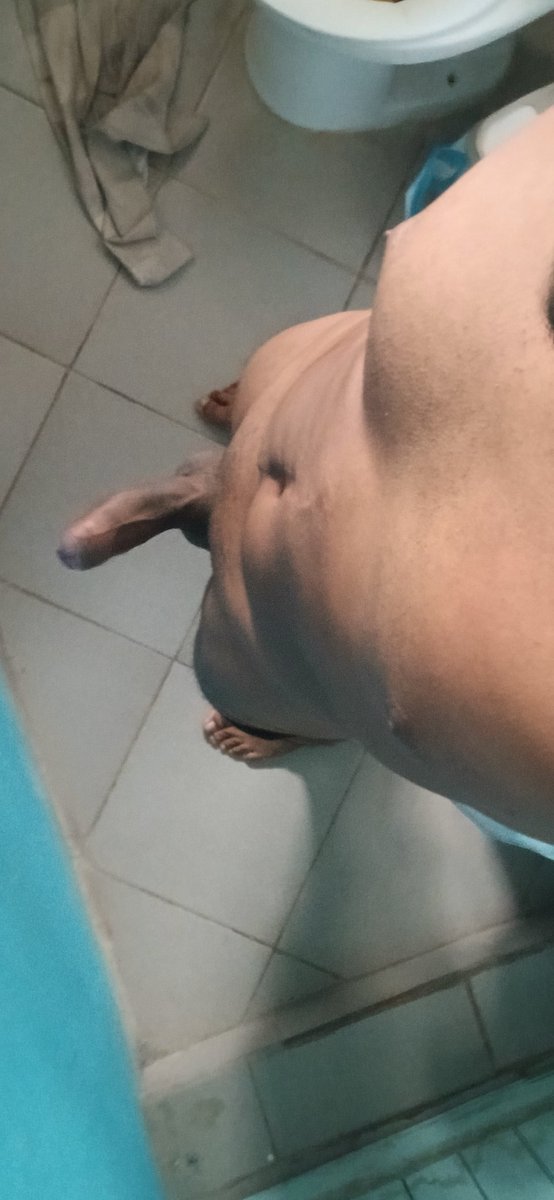 Aburrido 
Ocumare  activo  
Horita