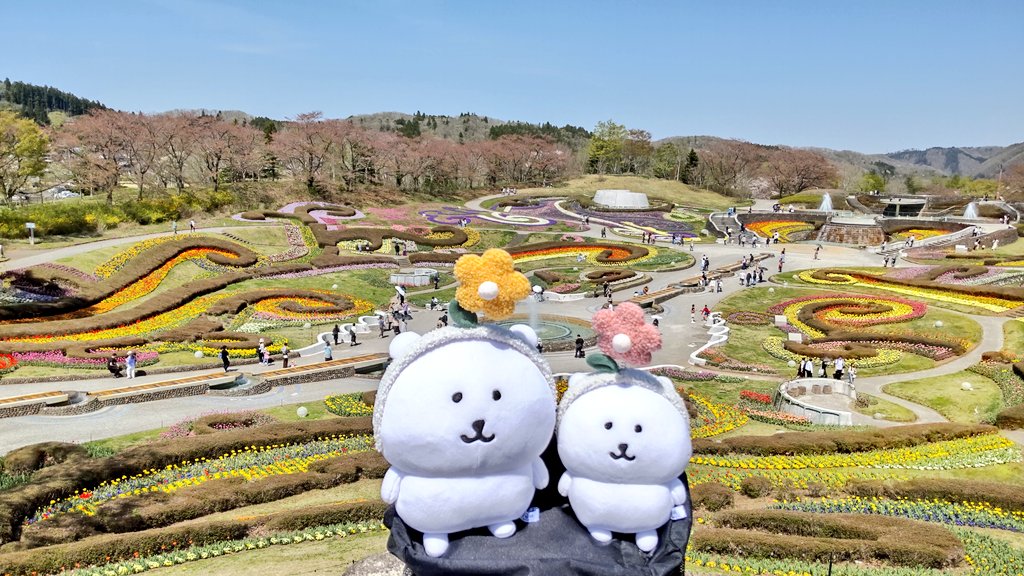 たびくま tweet media