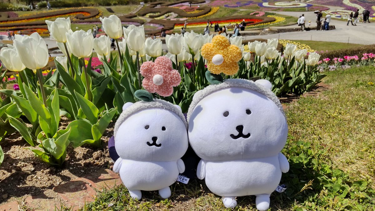 たびくま tweet media