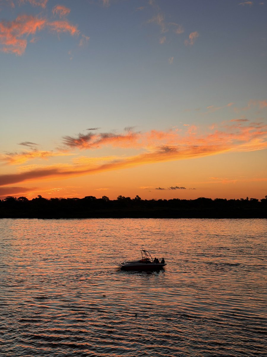 Jess Fernández B. tweet media