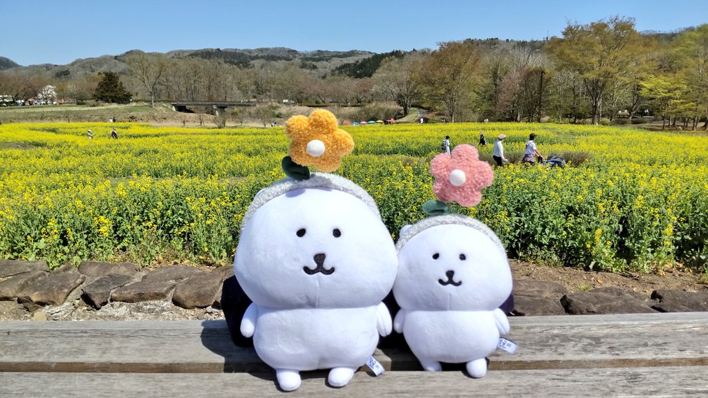 たびくま tweet media