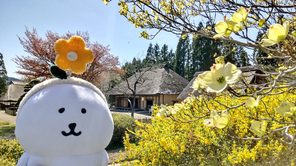 たびくま tweet media