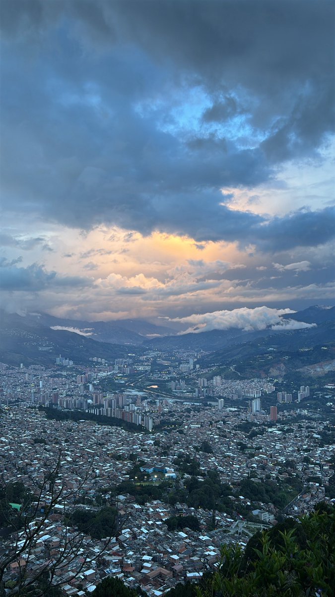 Melindrx tweet media