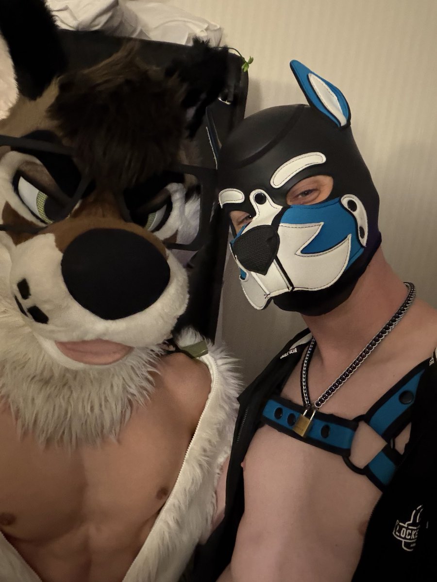 Went to an awesome party on FurDU’s final night. Super great to meet ...