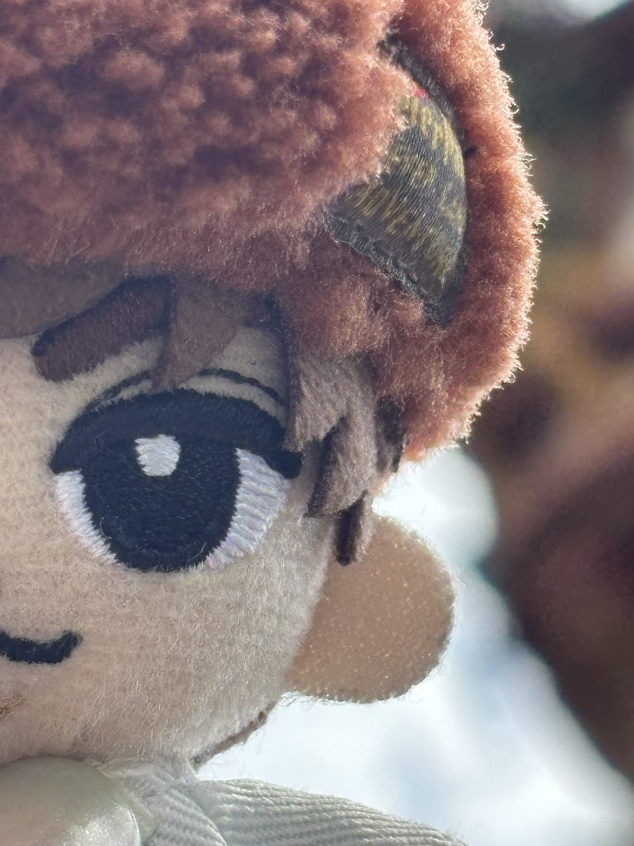 okiku＊ tweet media