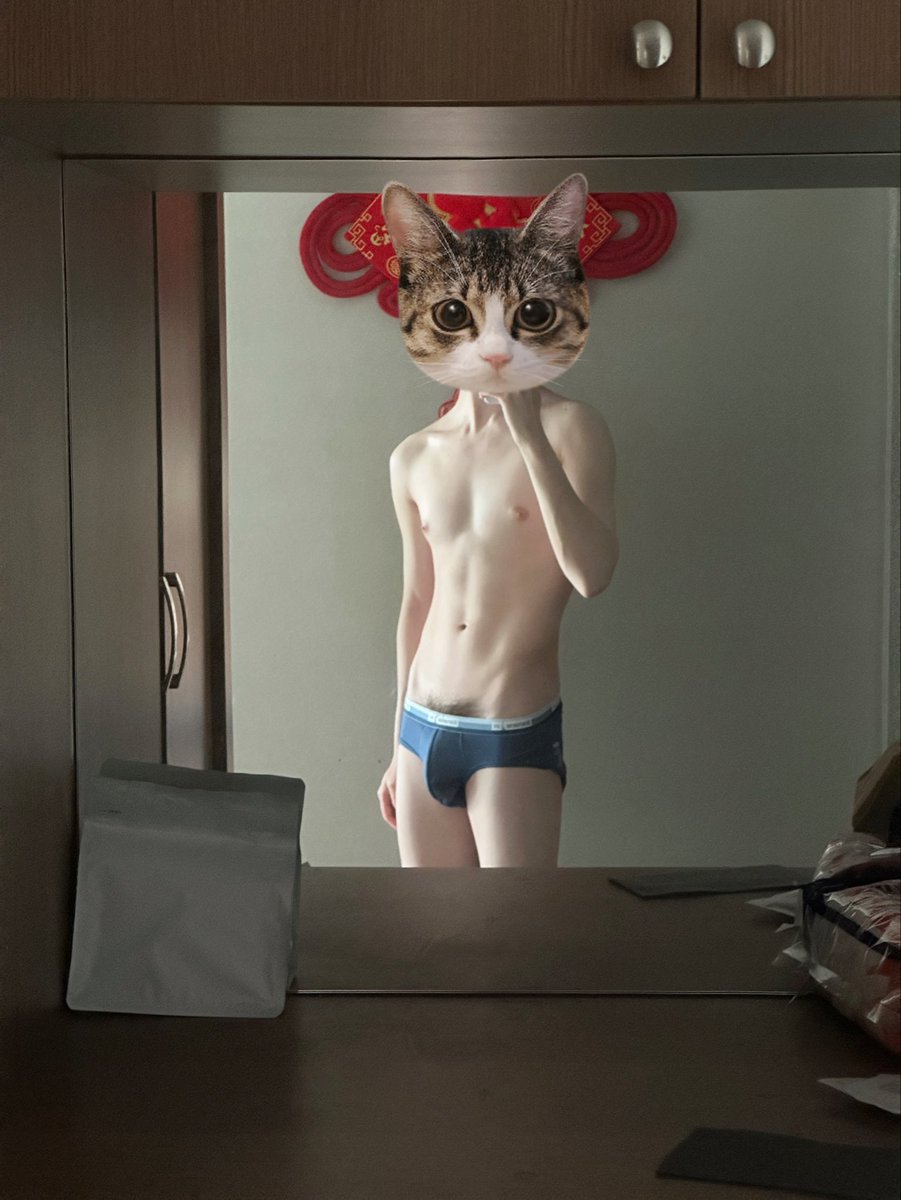 Camellia tweet media