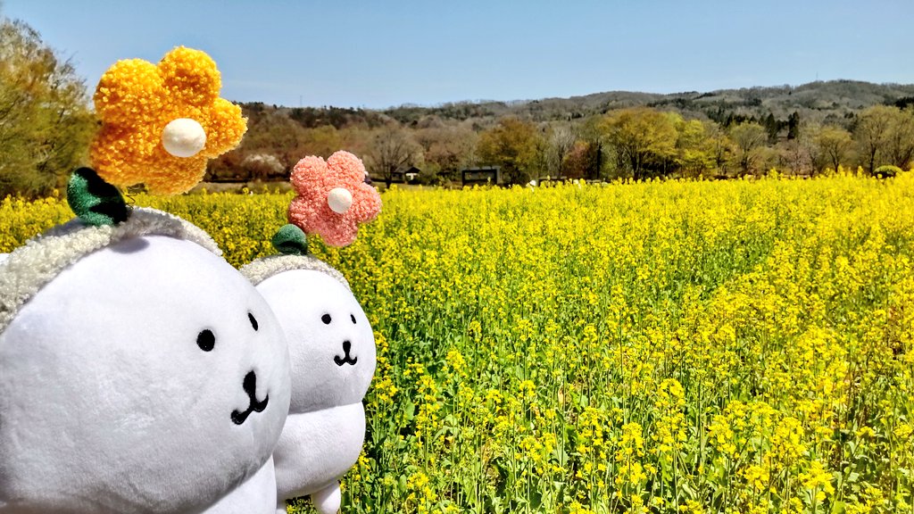 たびくま tweet media