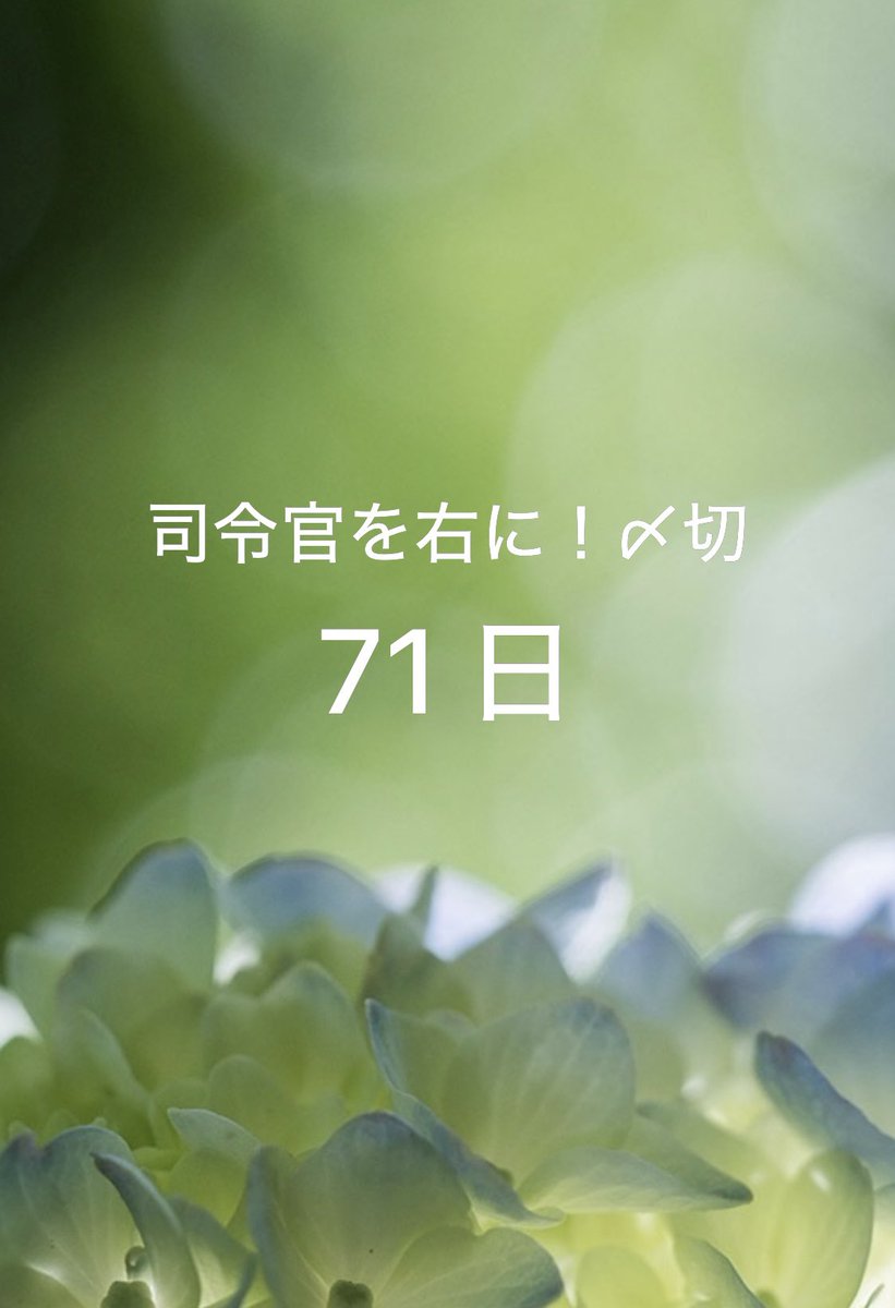commander2right's tweet photo. 初夏の大型連休ももうすぐとなりました🍀
リマインダです‼️

 #司令族右

↓ 企画ページ
https://t.co/L4gqzzYT5g https://t.co/I6vAhfTDHg