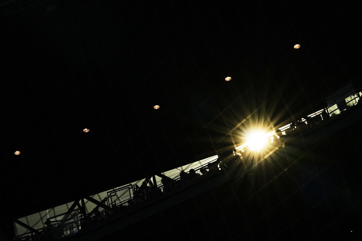 Lindsey Wasson 📸 tweet media