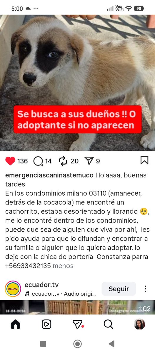 Katherin8782818's tweet photo. @emergenciascaninastemuco Instagram #Condominios #Milano 03110 adentro del recinto está ,(Amanecer detrás de Coca-Cola ) lo dejo con la chica de portería Constanza Parra ,si Alguien lo desea #adoptar contacto +56933432135 Rt urgente https://t.co/TOYgwPlEZi