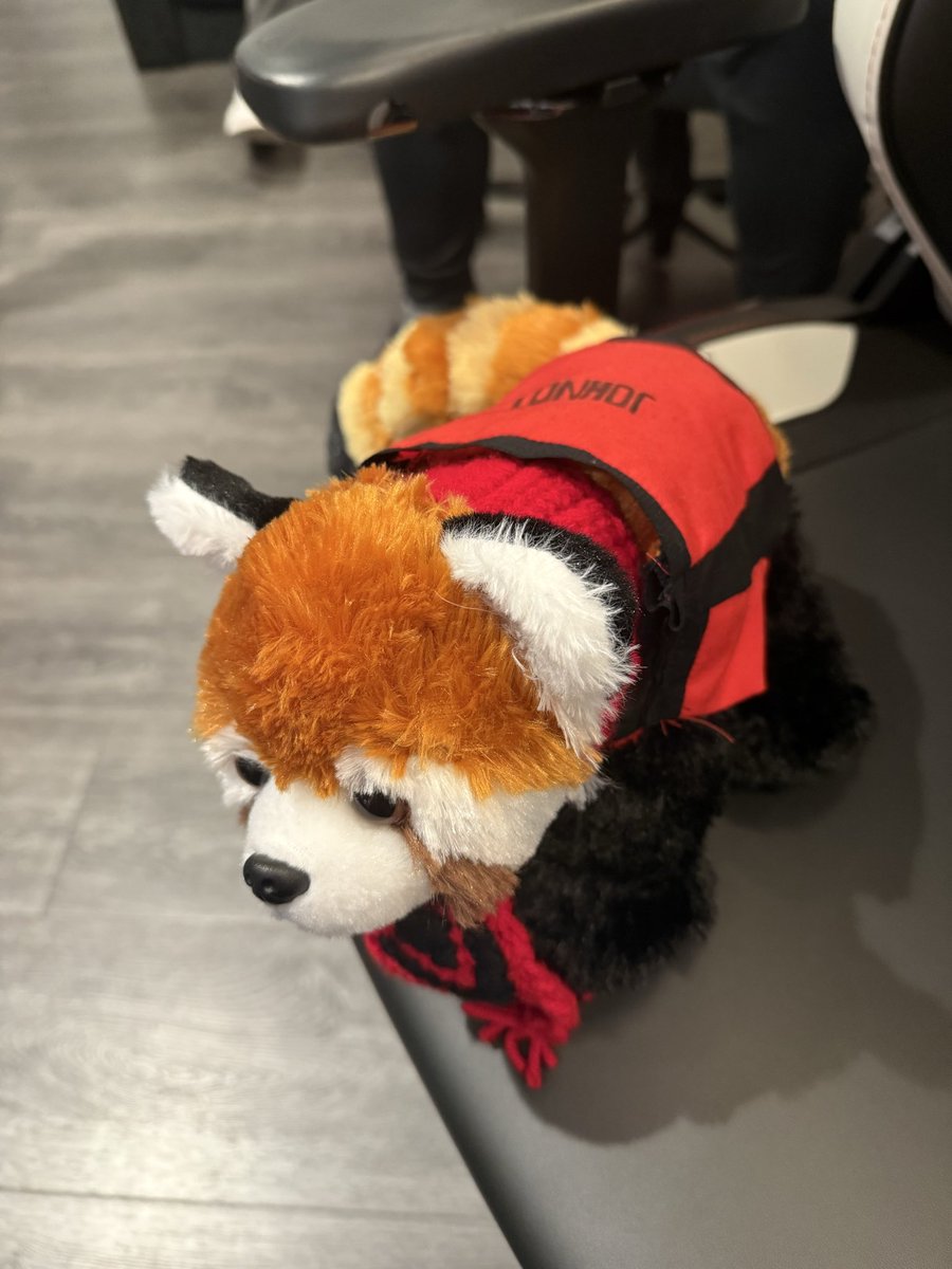 SEN johnqt 🇲🇦 tweet media