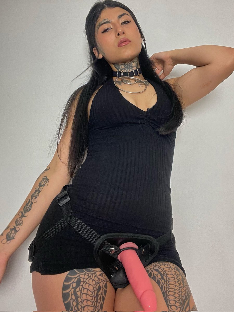 Sasha GODDESS tweet media