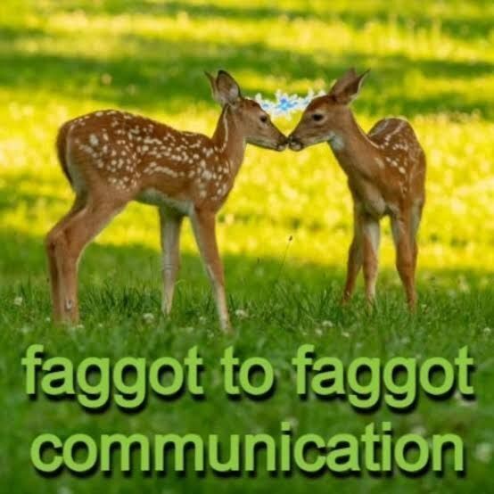 Deer in Places they Shouldn't Be tweet media