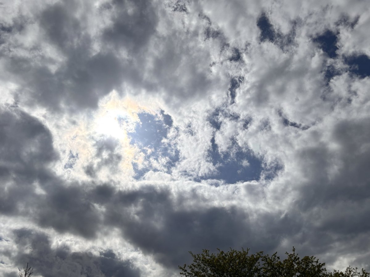 Mike Hogan tweet media