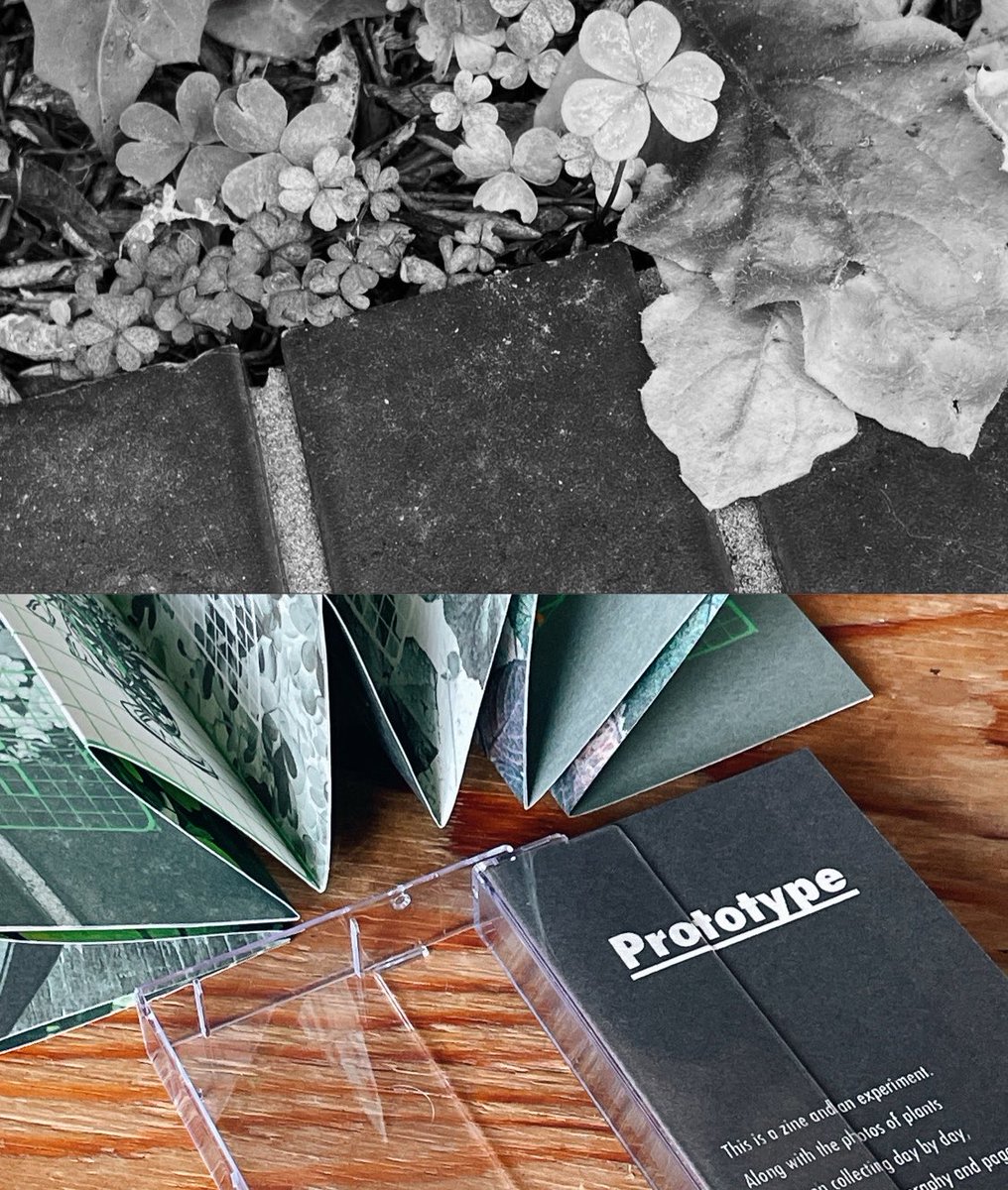 H_H2665000's tweet image. 記録媒体のプロトタイピングとして
#zine #lettering #photography