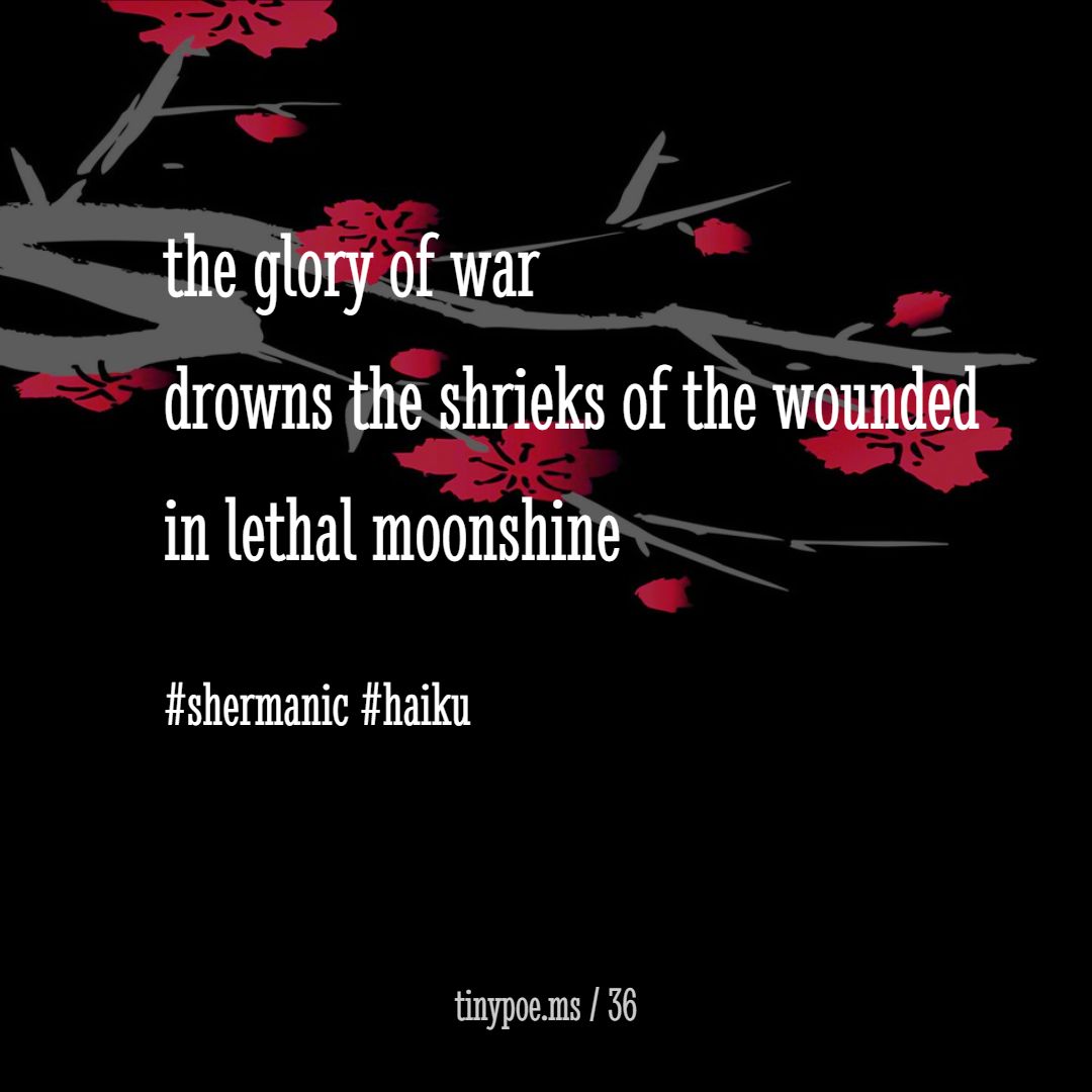 karmaniverous tweet media