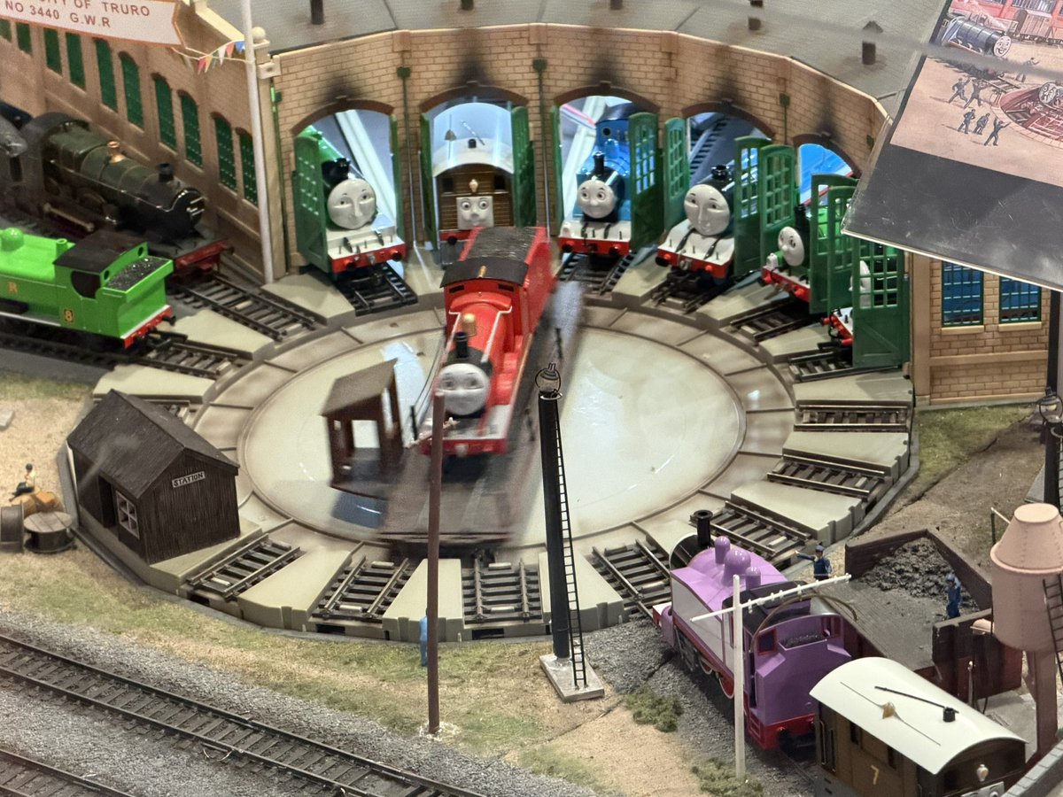 🦁たびねり🌾 tweet media