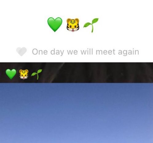 7th year: remi ꩜ tweet media