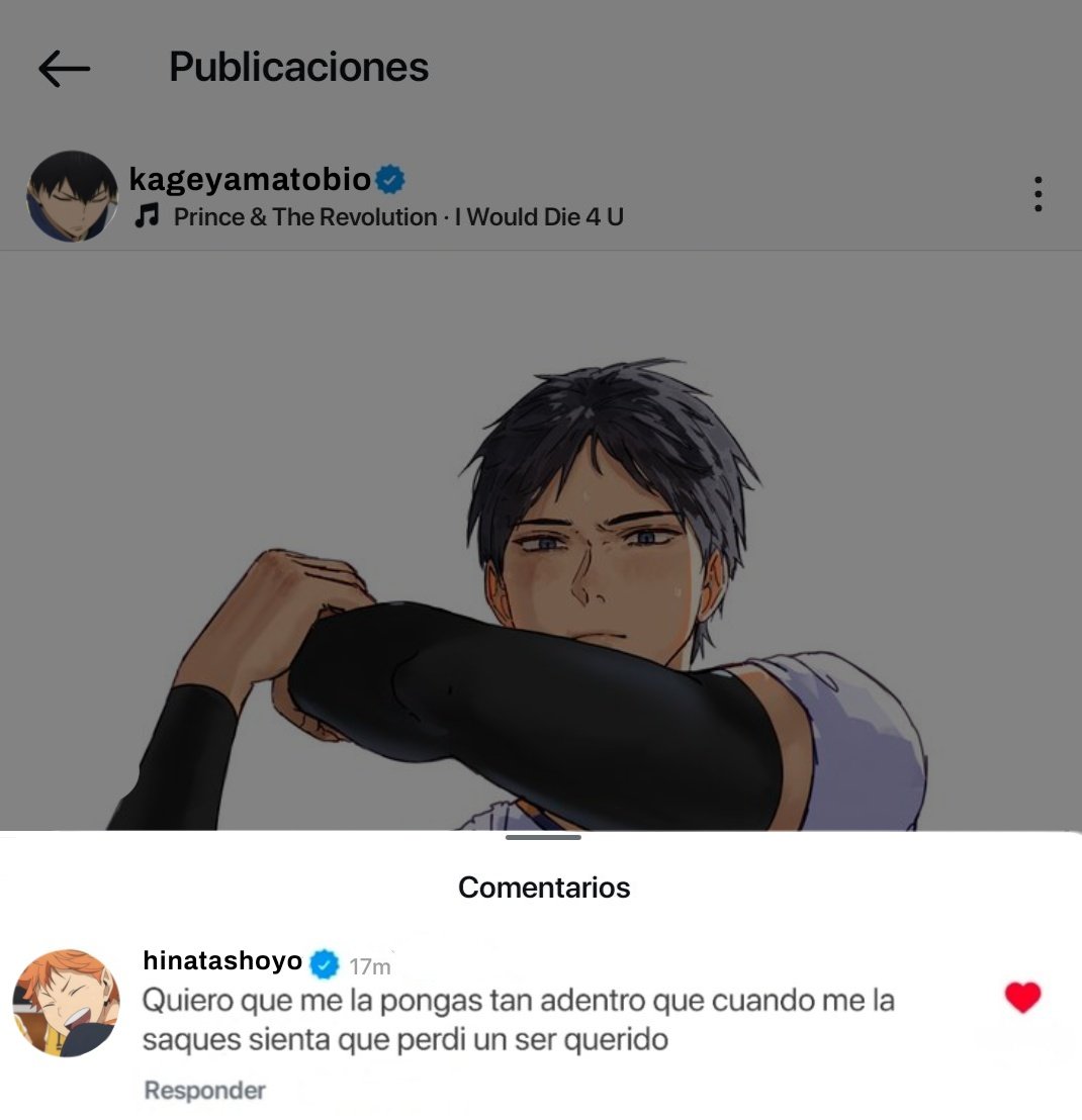 𝘾𝙞𝙧𝙧𝙪𝙨 Aurera del tsukiyama tweet media