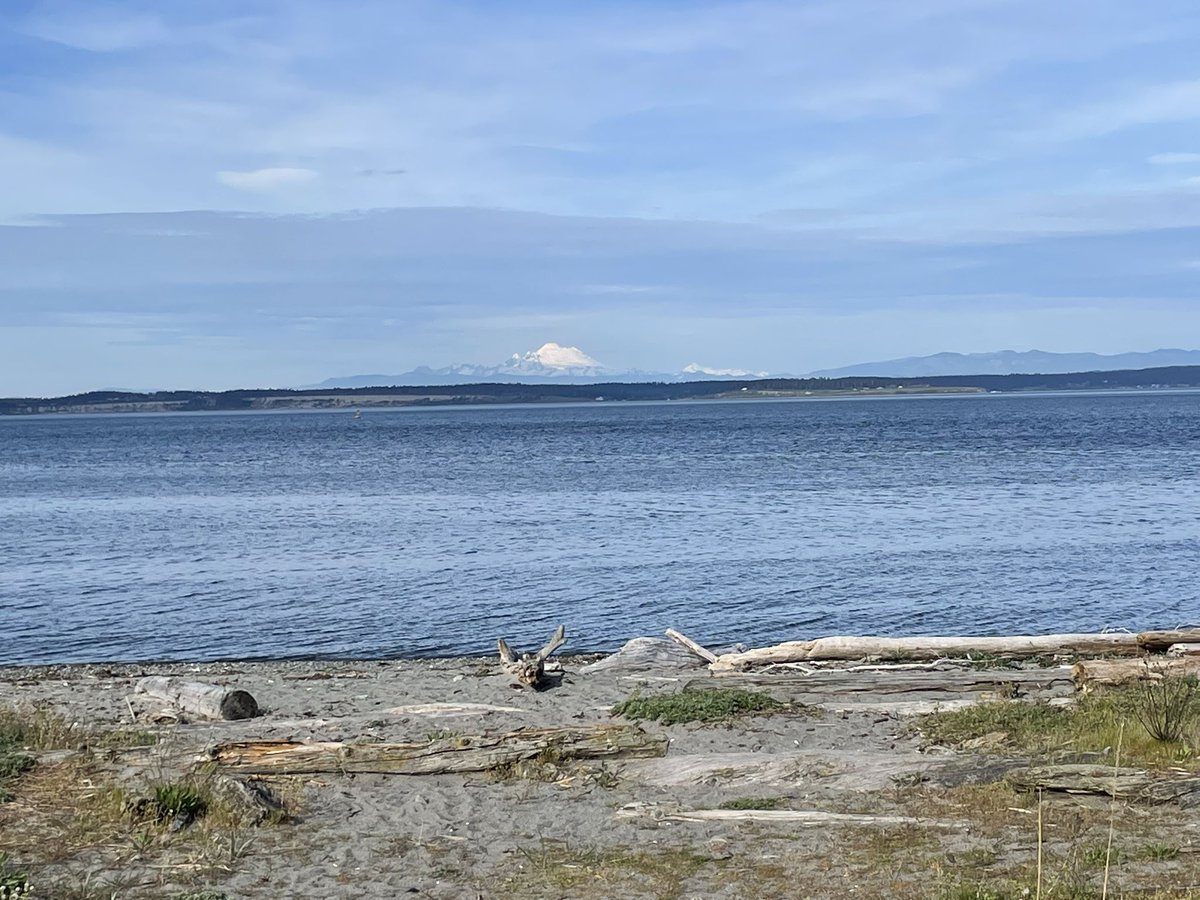12sec317's tweet photo. A much needed break from the cold weather and a sit out in the sunshine! First day that it has felt like spring. After the past month with my knee surgery I needed this! ☀️#PortTownsend #Pourhouse #Beer #MtBaker https://t.co/BzYHyN9rQO