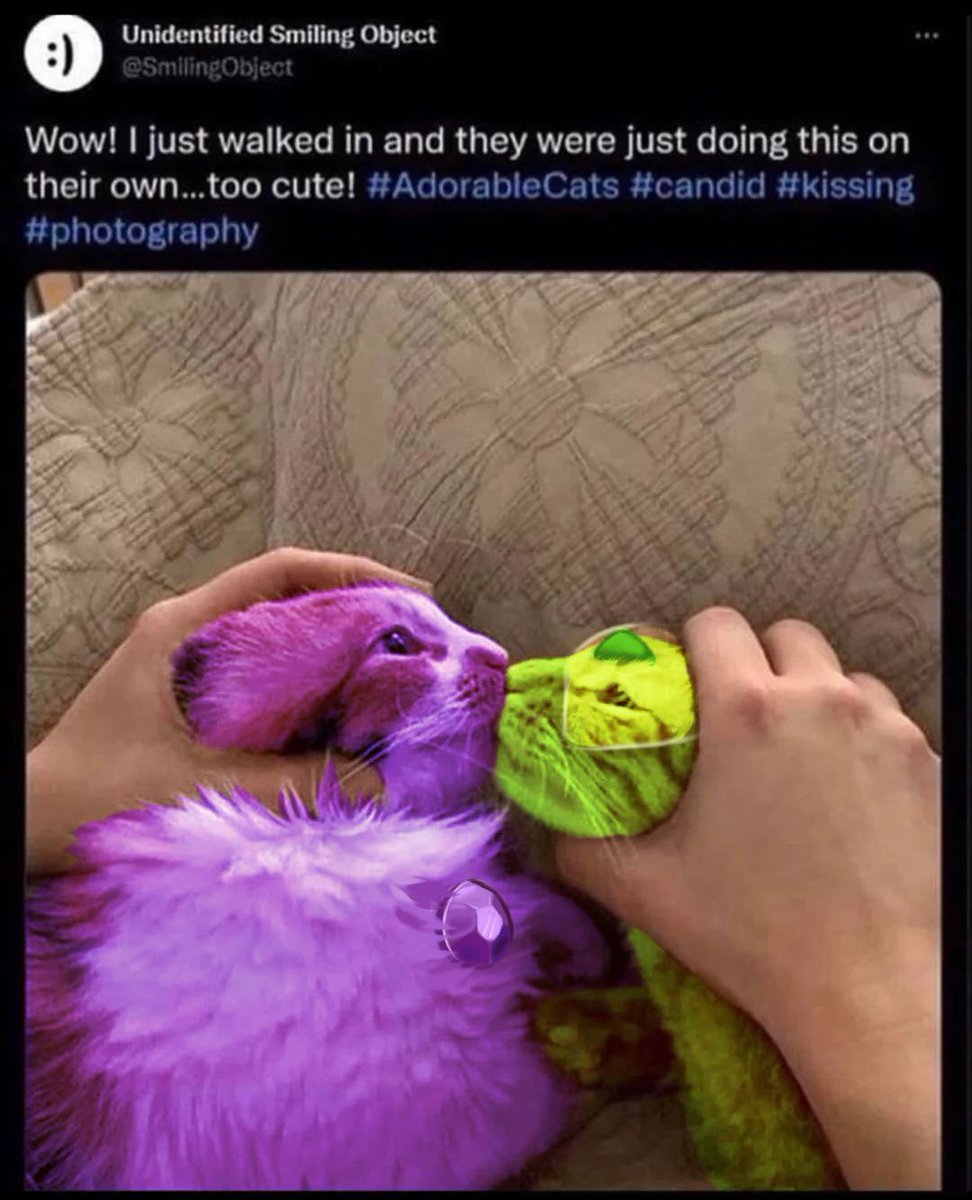 Artistakai🌿🐑 tweet media