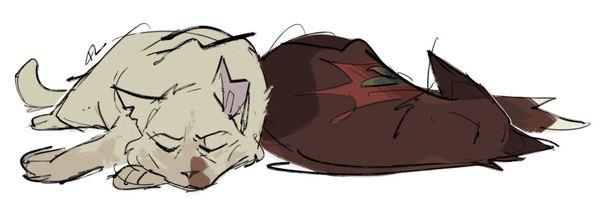 JOCKPRIEST's tweet image. patien[t/ce] #warriorcats