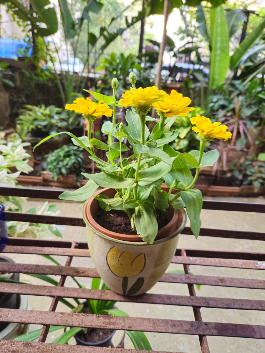 mridulachakraborty.🇮🇳 tweet media