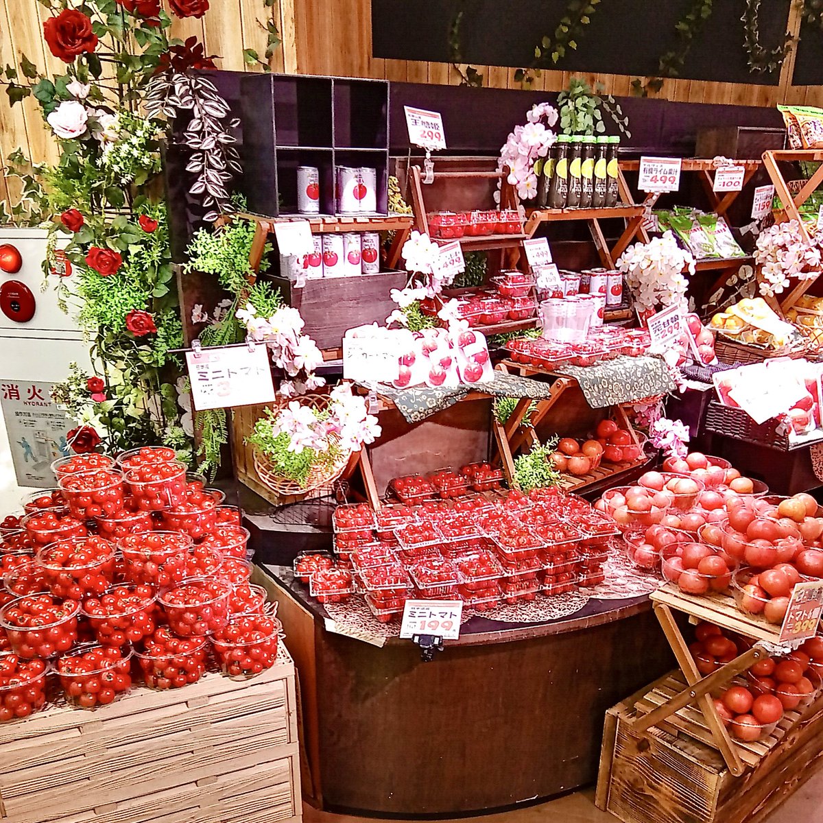 ‼️1500円割引日曜日限定セール‼️ レッドシダー　Ａ型看板　高級材　おまけ 北海市場 屯田店】 🍓本日の青果コーナー！🥬 🌱たけのこ お手軽な