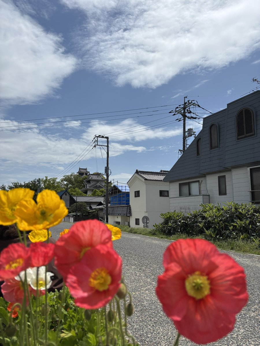 岡山　甫　(おかやま　はじめ) tweet media