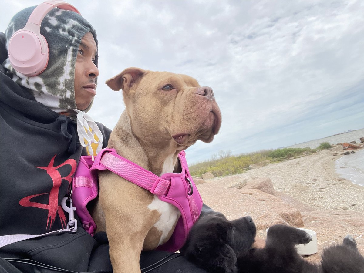 IGLivewithLoso's tweet image. @DesireeWave &amp;amp; #Lola 🐾