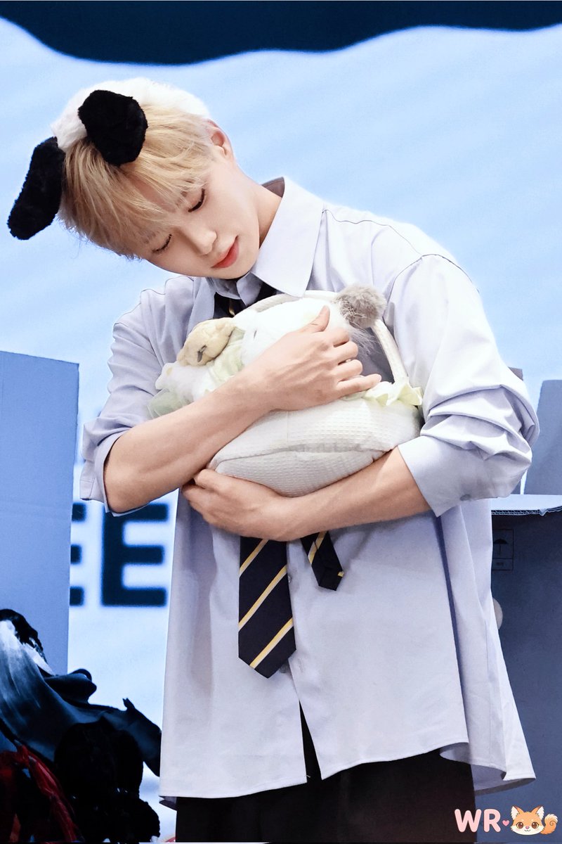 一只搬砖狗WR tweet media