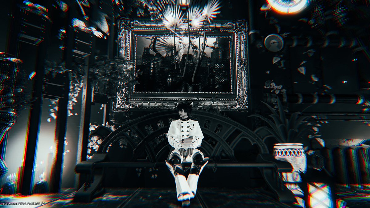 𝘾𝙃𝙄𝙍𝙄 tweet media