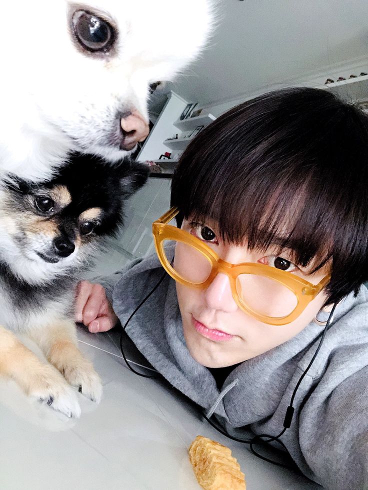 mauseu5657's tweet photo. 예느 (당신)는 댕댕이~
울 예느 댕댕이 같다
#YESUNG @shfly3424
#예성버블 https://t.co/UqzvD2uCSU
