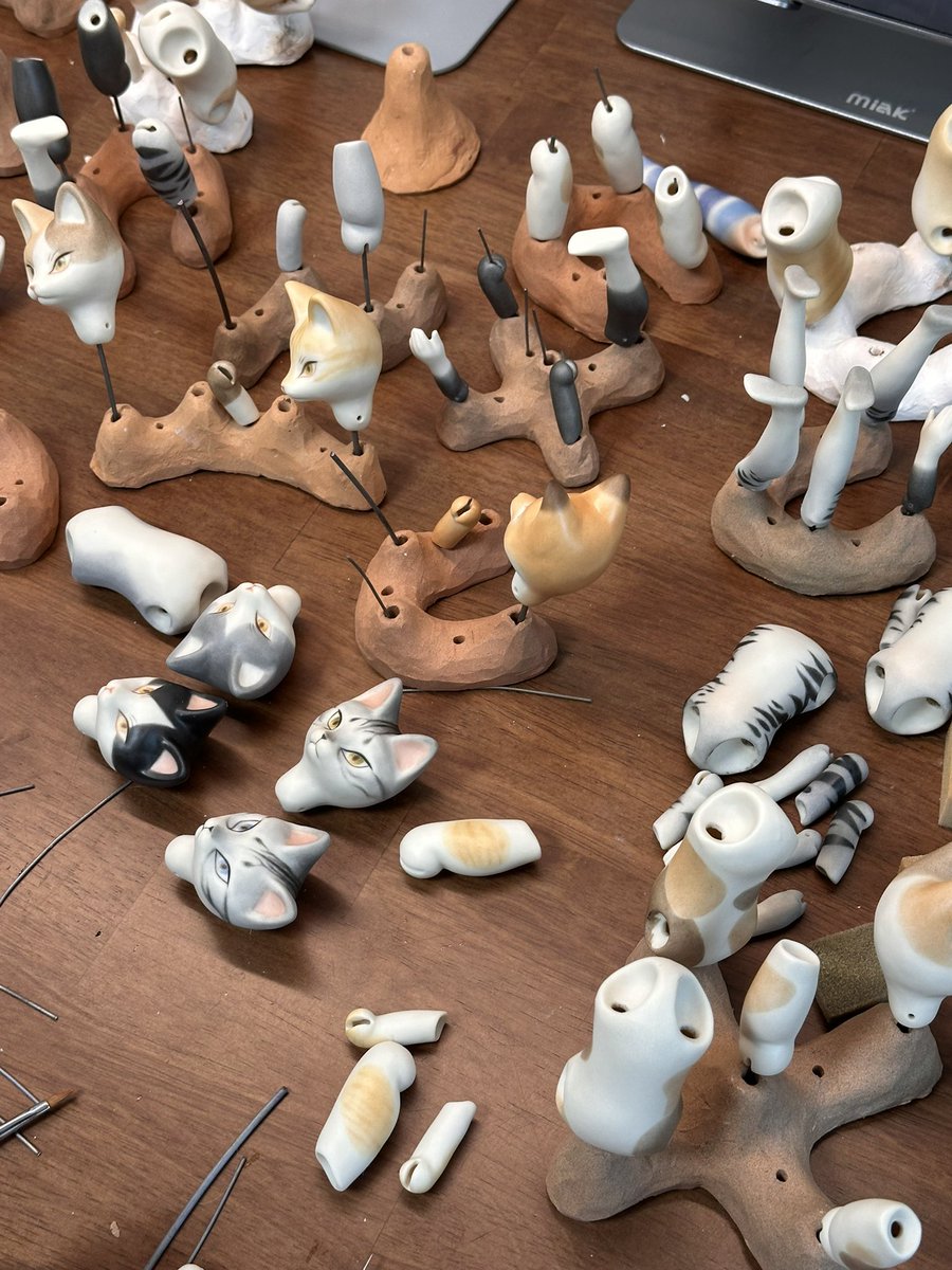 🍄cocoroico🍄 tweet media