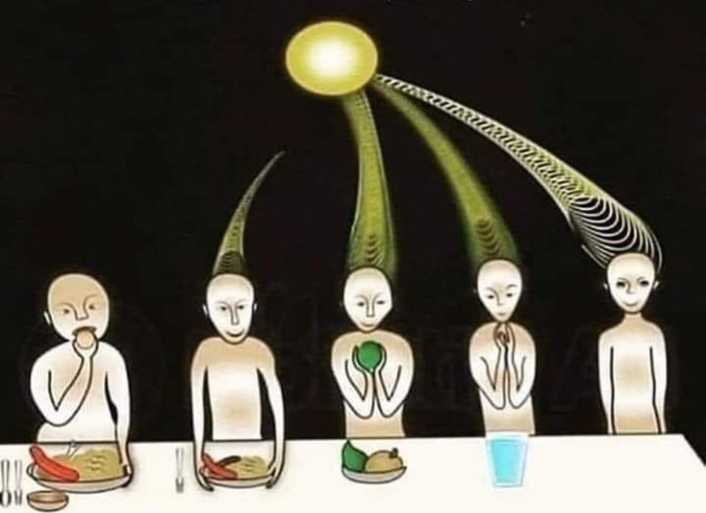 ☣️ Pleb Kruse = BTC foundationalist in exile 🟩🔆 tweet media