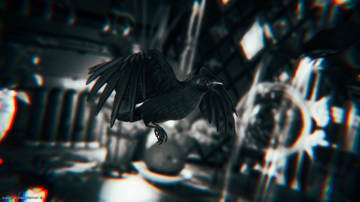 𝘾𝙃𝙄𝙍𝙄 tweet media