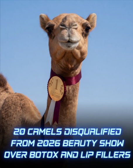 Amit Mane tweet media