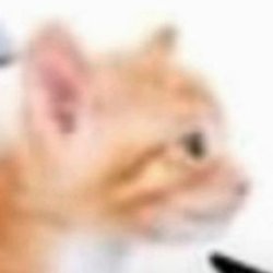 Ava UwU comission Closed tweet media