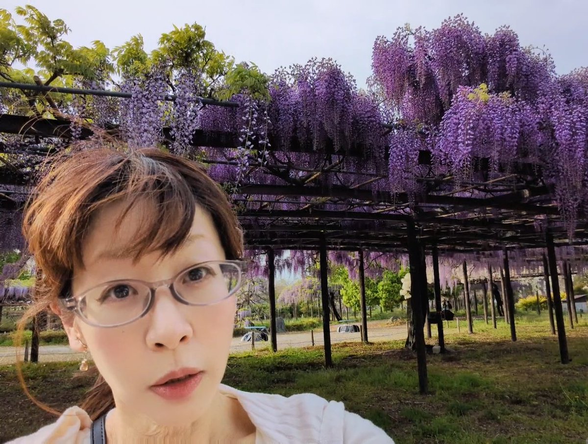 小浜田知子(こはみん) tweet media