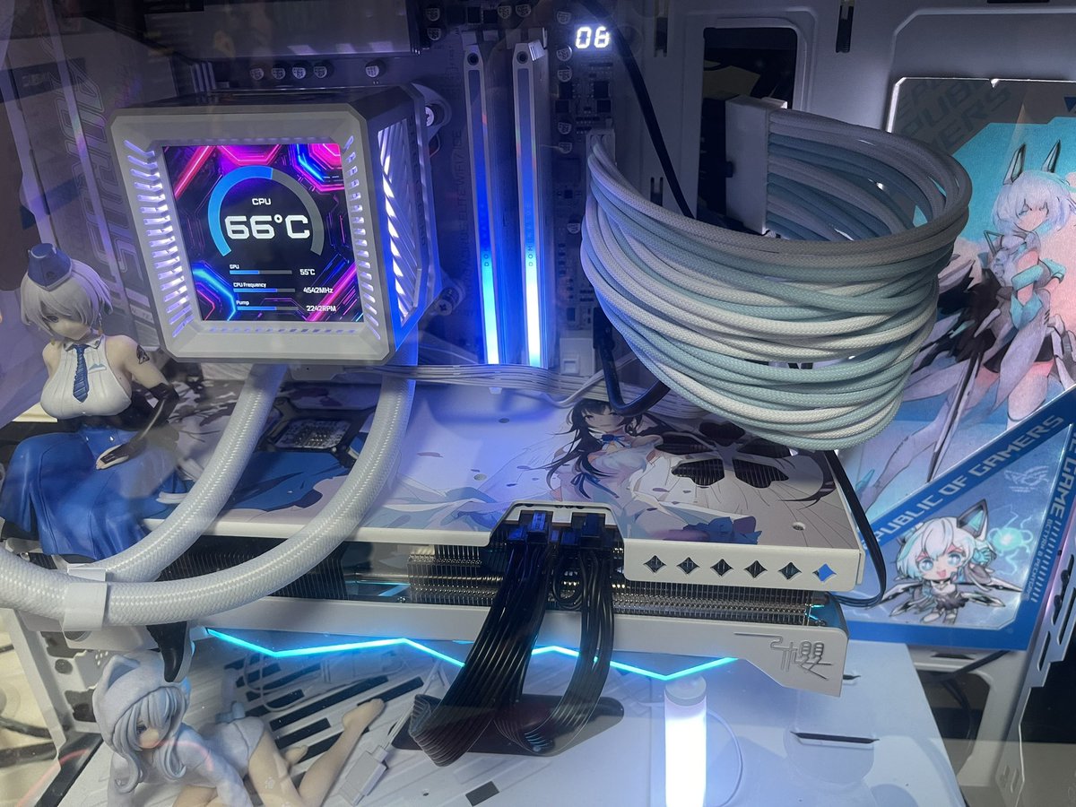 イシス セルティ tweet media