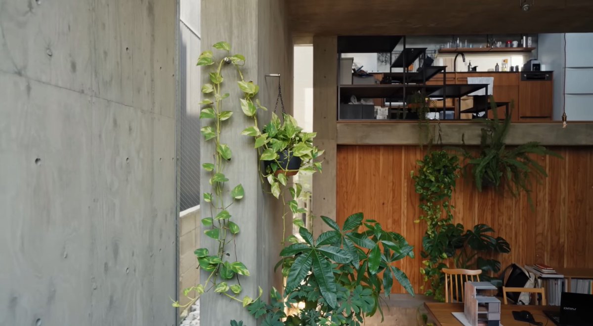 Nat & Ver tweet media