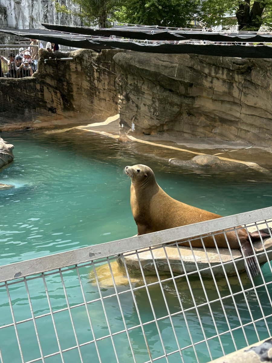 ユウマ tweet media