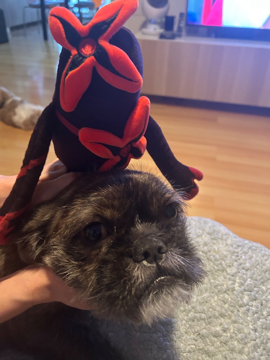 whistle occurence new episode