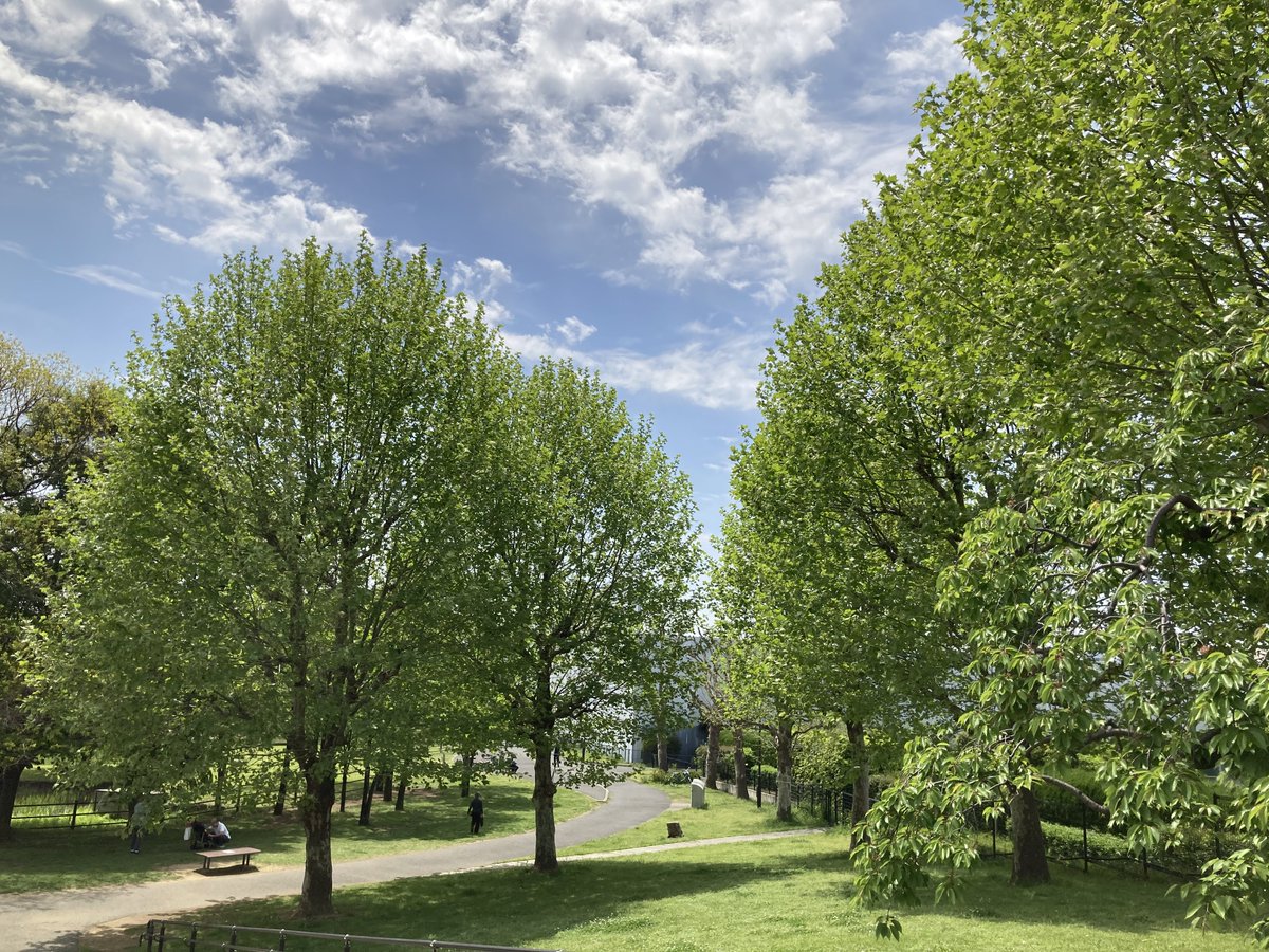 はや★ぶさ tweet media