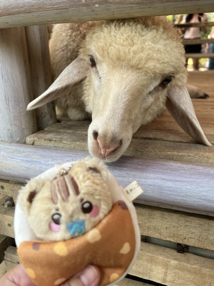 todayis_ᴍᴜ🩵 tweet media