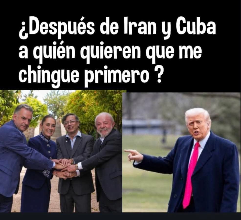 Denise Meade Gaudry® tweet media