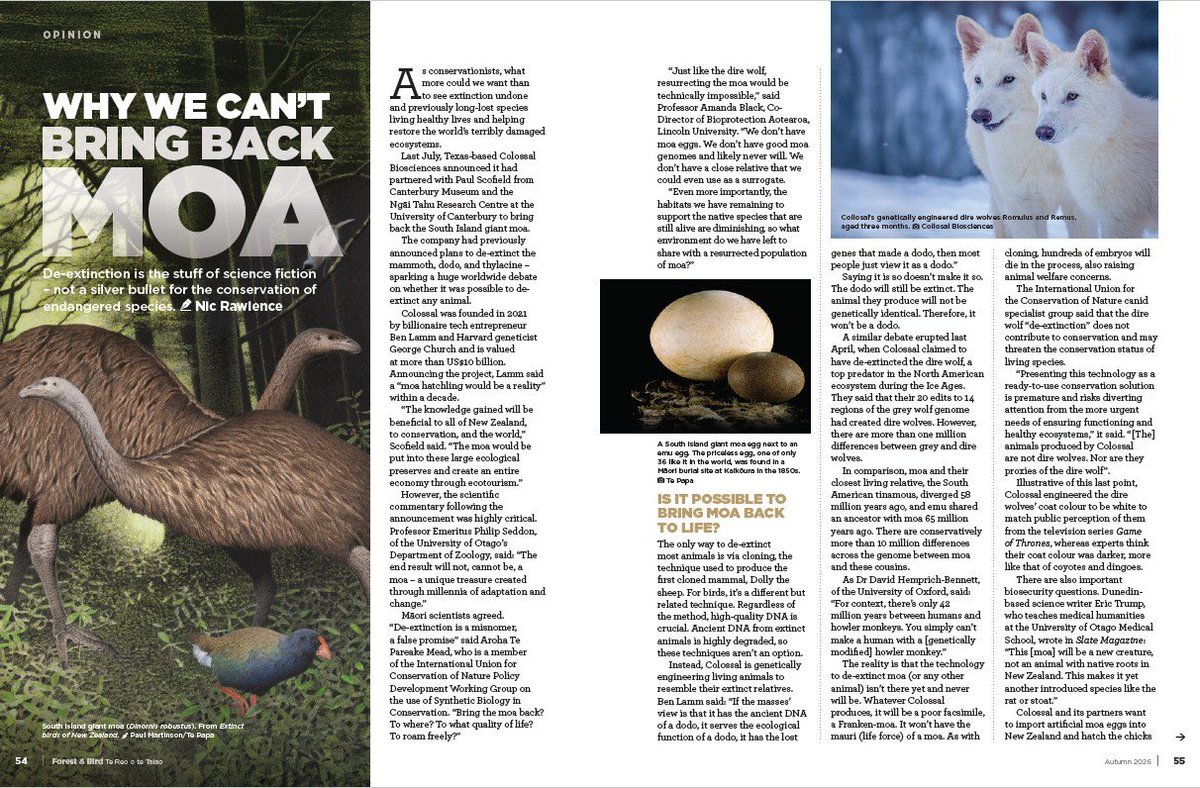 Nic Rawlence tweet media