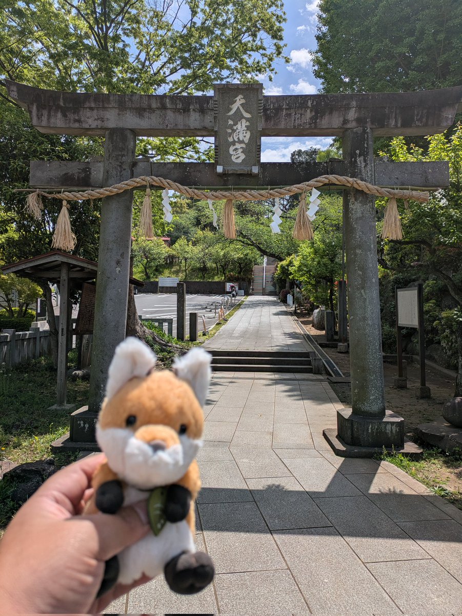 にゃー吉 tweet media