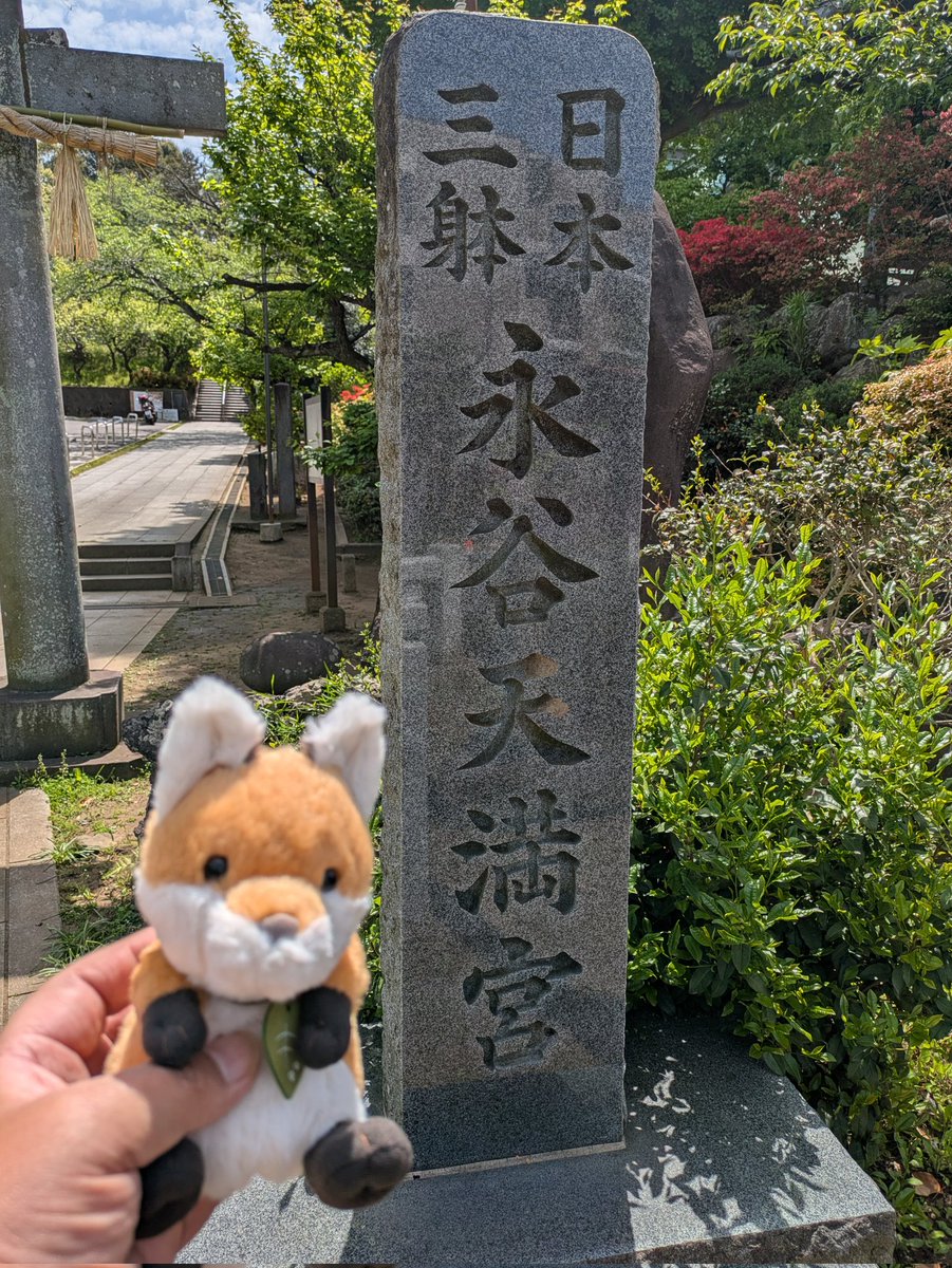 にゃー吉 tweet media