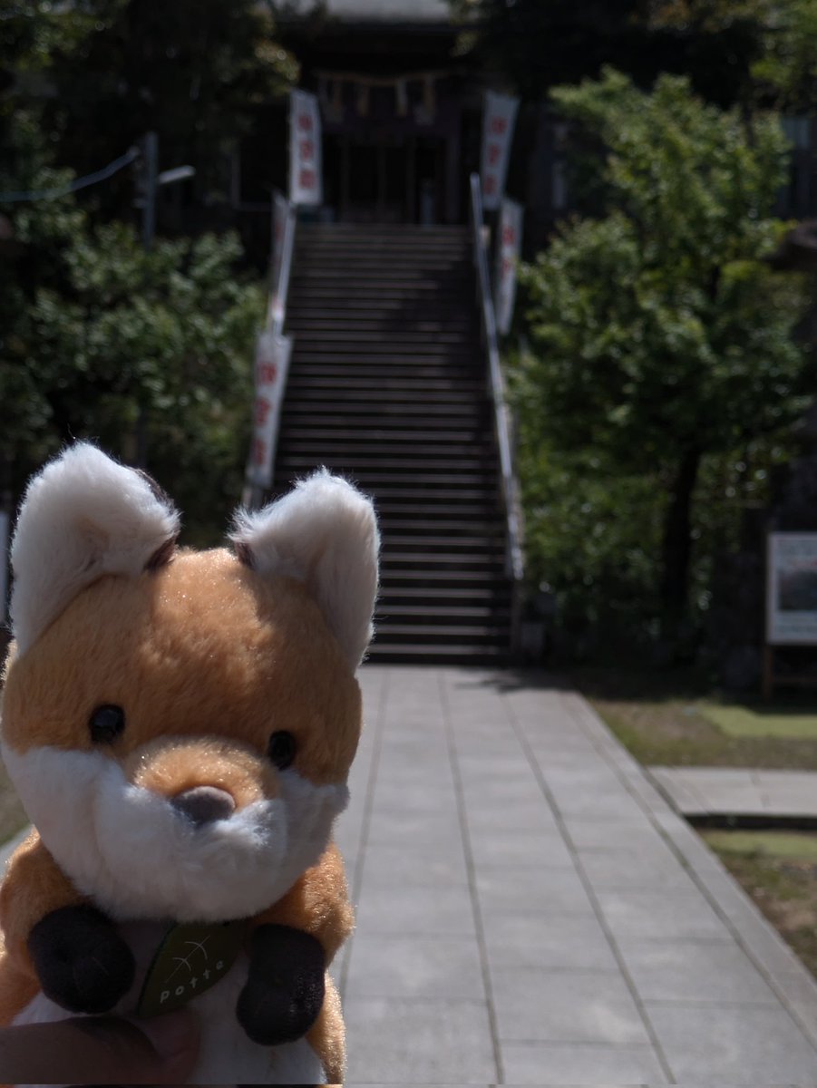 にゃー吉 tweet media